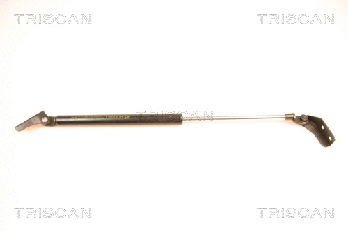 Gas Spring, boot/cargo area (8710 50232)