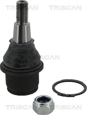 Ball Joint (8500 17531)