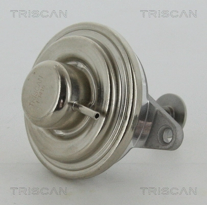 EGR Valve (8813 24054)