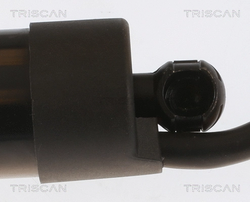 Gas Spring, boot/cargo area