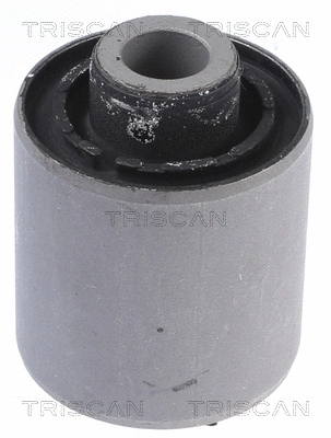 Mounting, control/trailing arm (8500 43848)