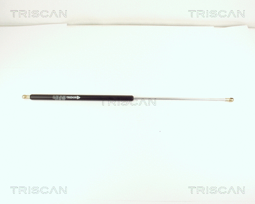 Gas Spring, boot/cargo area (8710 15210)