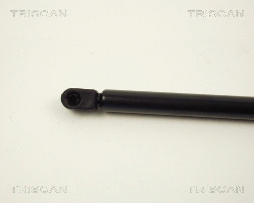 Gas Spring, boot/cargo area