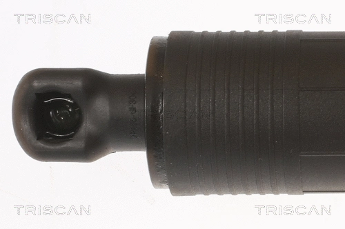 Gas Spring, boot/cargo area