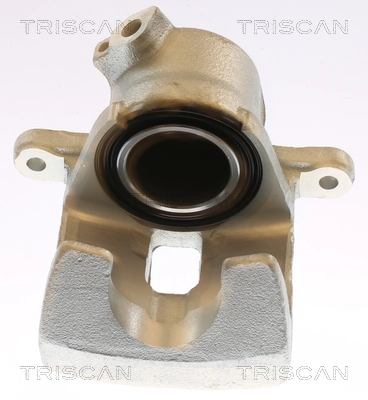 Brake Caliper (8175 13125)