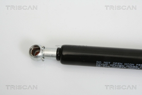 Gas Spring, boot/cargo area