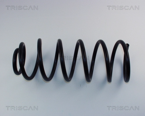 Suspension Spring (8750 2993)