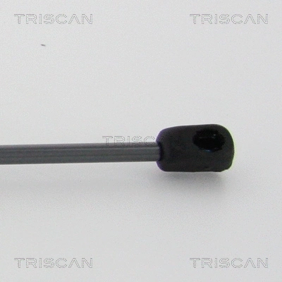 Gas Spring, bonnet