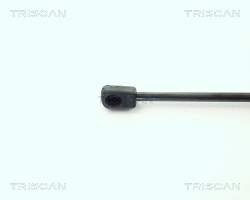 Gas Spring, boot/cargo area