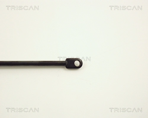 Gas Spring, boot/cargo area
