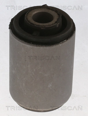 Mounting, control/trailing arm (8500 27842)