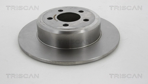 Brake Disc (8120 101065)