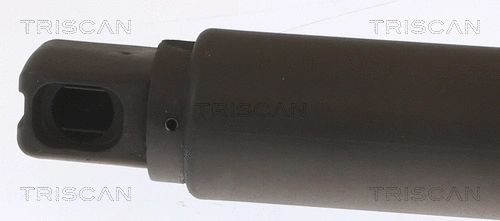 Gas Spring, boot/cargo area