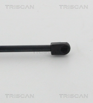 Gas Spring, boot/cargo area