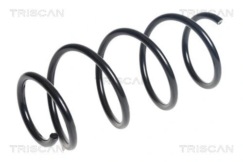 Suspension Spring (8750 43140)