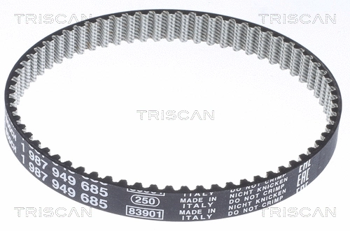 Timing Belt (8645 29001)