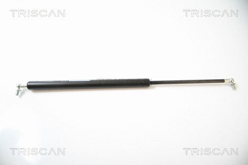 Gas Spring, boot/cargo area