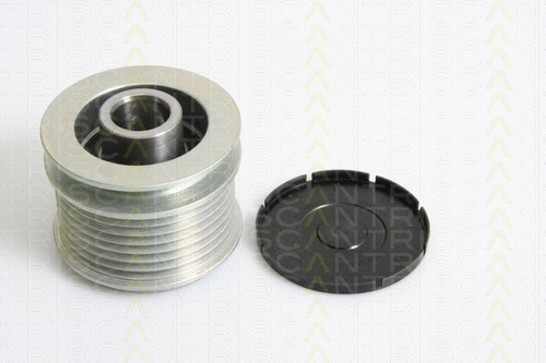 Alternator Freewheel Clutch (8641 234019)