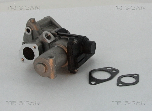 EGR Valve (8813 29312)