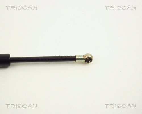 Gas Spring, boot/cargo area