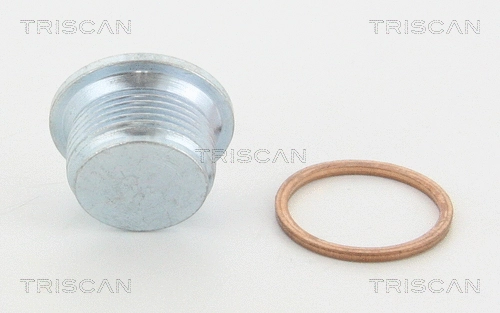 Screw Plug, oil sump (95-0999)