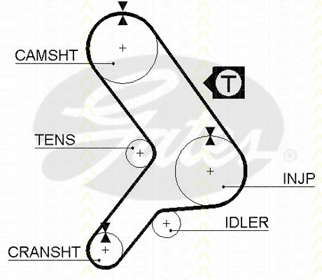 Timing Belt