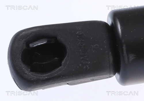Gas Spring, boot/cargo area