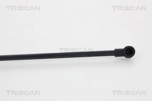 Gas Spring, boot/cargo area