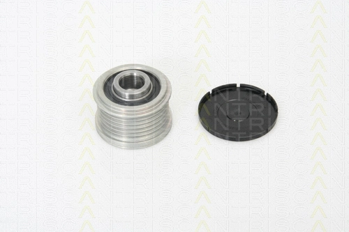 Alternator Freewheel Clutch (8641 114002)