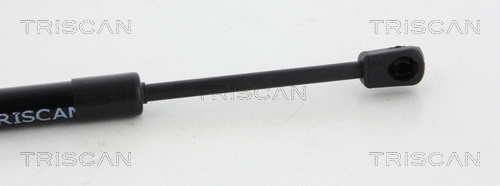 Gas Spring, bonnet