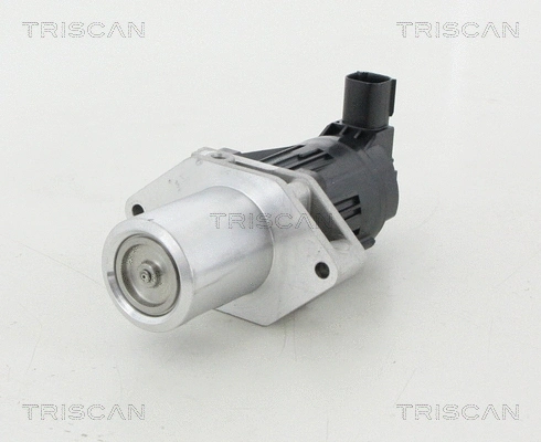 EGR Valve (8813 24209)