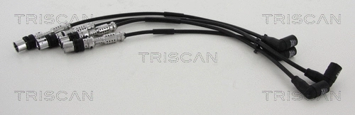 Ignition Cable Kit (8860 29031)