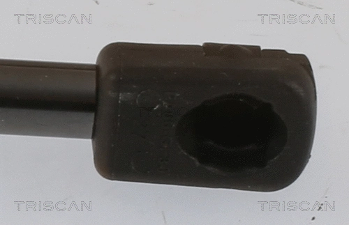 Gas Spring, boot/cargo area