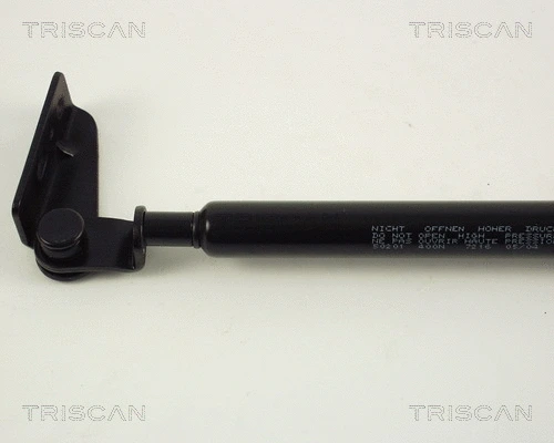 Gas Spring, boot/cargo area