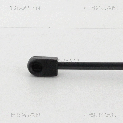 Gas Spring, bonnet