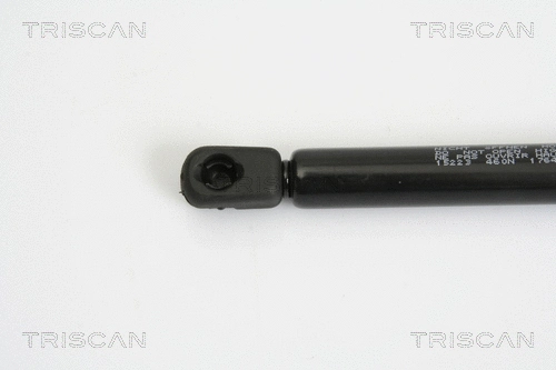 Gas Spring, boot/cargo area