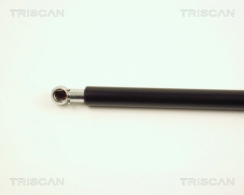 Gas Spring, boot/cargo area