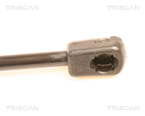 Gas Spring, boot/cargo area