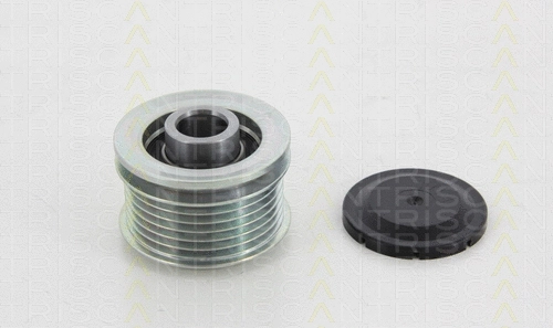 Alternator Freewheel Clutch (8641 164007)