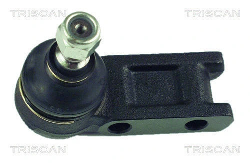 Ball Joint (8500 658100)