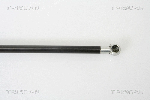 Gas Spring, boot/cargo area