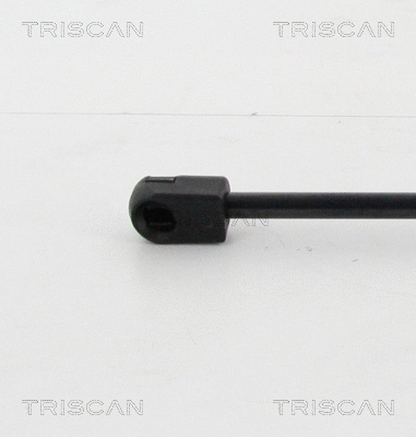 Gas Spring, boot/cargo area