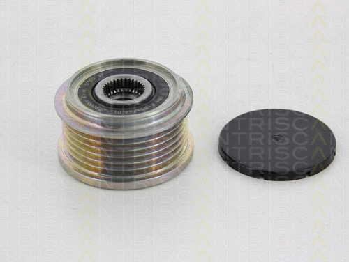Alternator Freewheel Clutch (8641 284007)