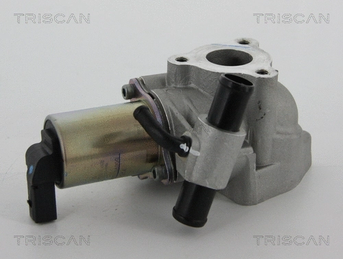 EGR Valve (8813 43020)