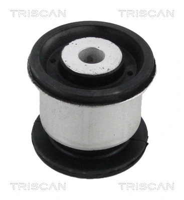 Mounting, control/trailing arm