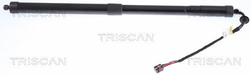 Gas Spring, boot/cargo area (8710 17305)