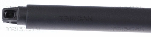 Gas Spring, boot/cargo area
