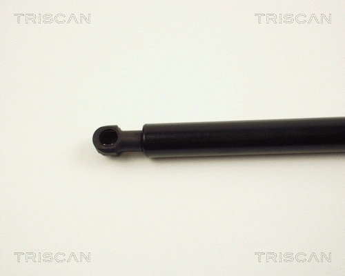 Gas Spring, boot/cargo area