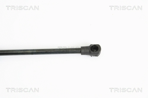 Gas Spring, boot/cargo area