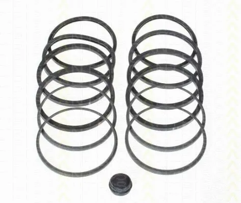 Repair Kit, brake caliper (8170 204602)